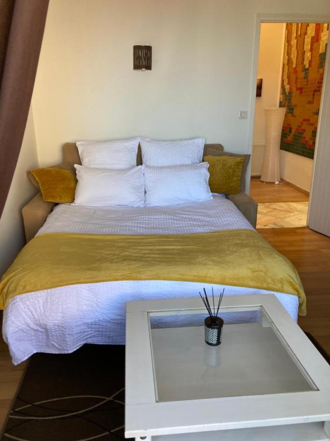 Appart Aux Deux Colombes Avec Balcon Et Garage Pamiers Eksteriør billede
