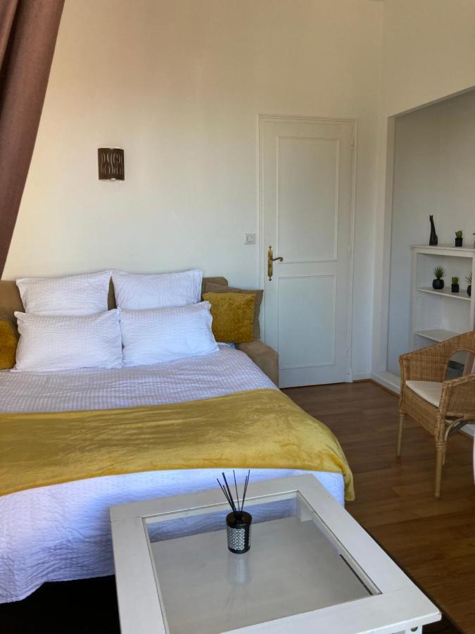 Appart Aux Deux Colombes Avec Balcon Et Garage Pamiers Eksteriør billede